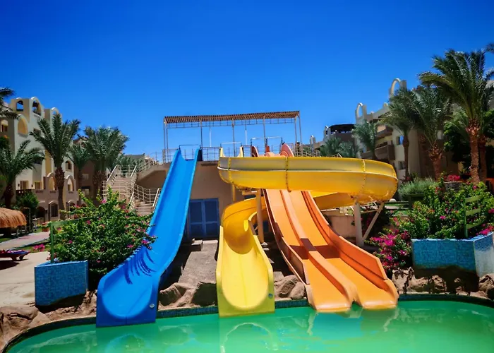 In Nubia Aqua Twin In